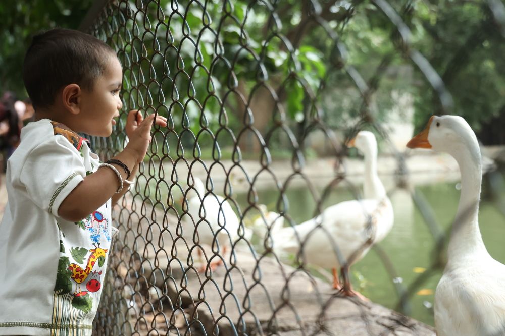 Photograph by Jigar padaya