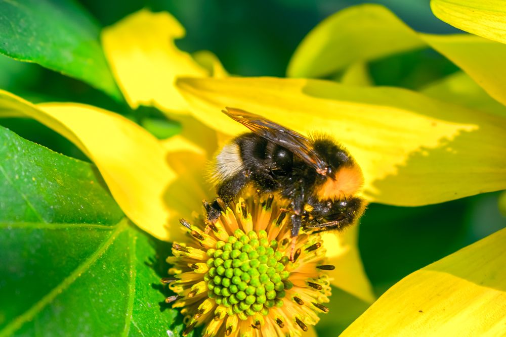 Photograph by Nikita Silyavin