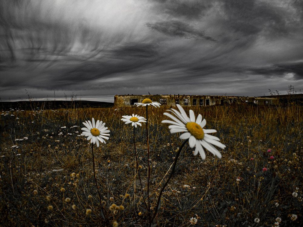 Photograph by Дмитрий Потапов