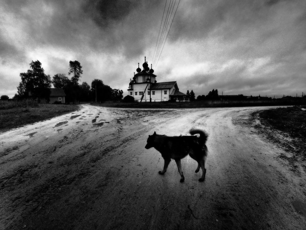 Photograph by Дмитрий Потапов