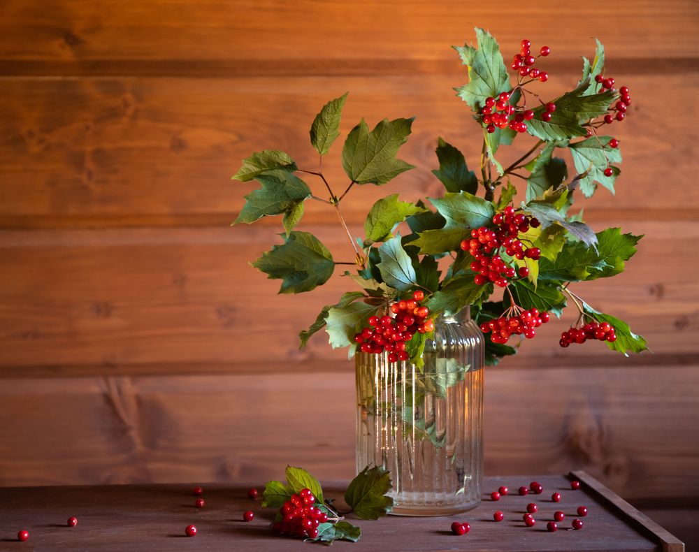 Photograph by Сергей Романченко