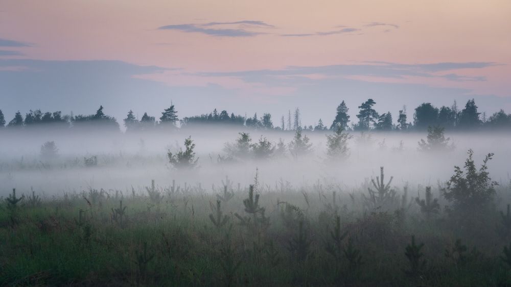 Photograph by Наталья Лабодина