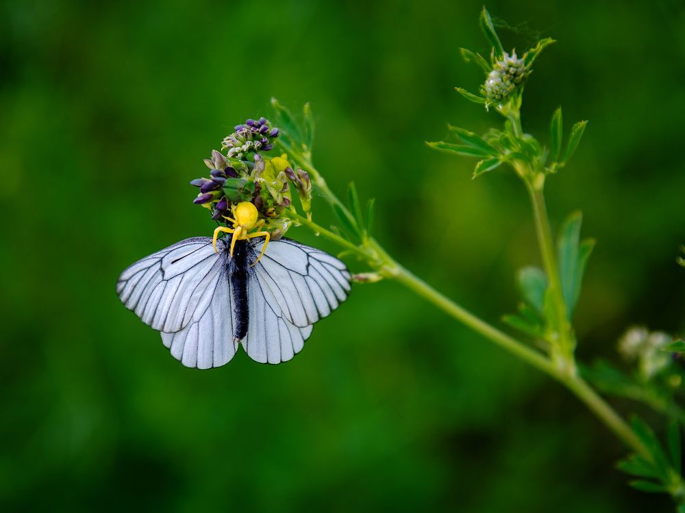 Photograph by Людмила