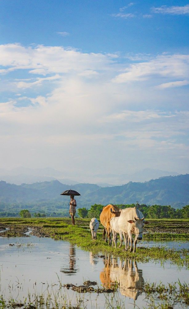 Photograph by Pritish Das