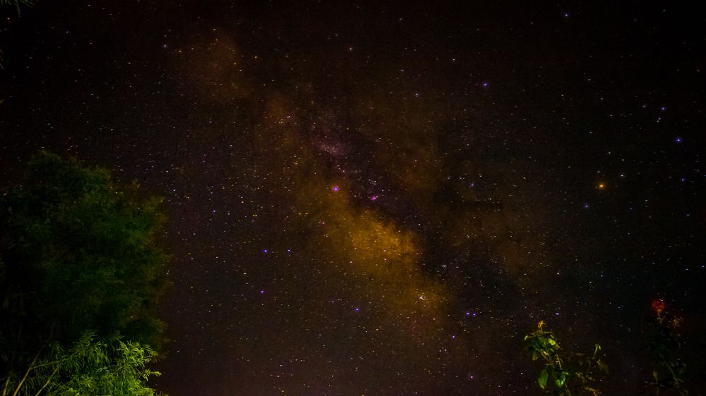 Photograph by Pritish Das