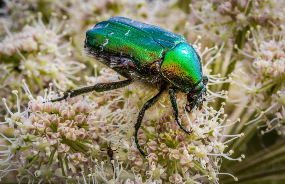 Photograph by Михаил Бояркин