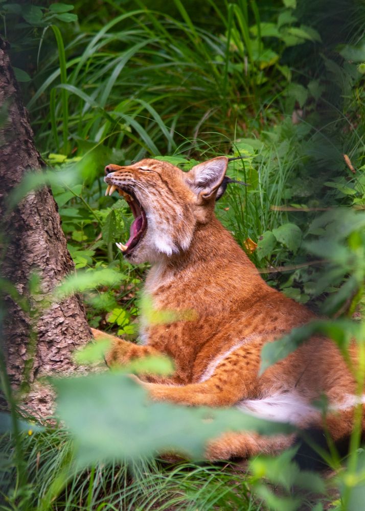 Photograph by Константин Костин