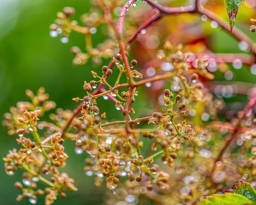 Photograph by Юрий Левко