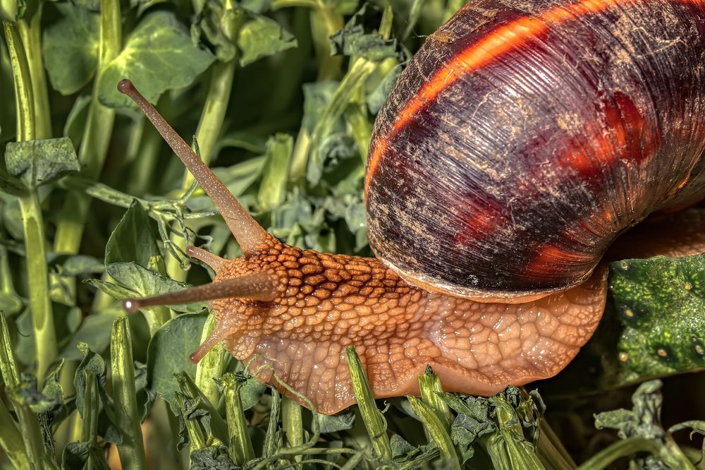Photograph by Юрий Левко