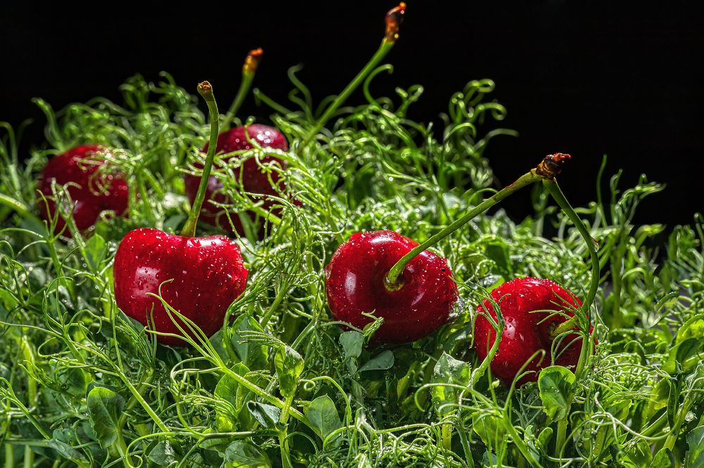 Photograph by Юрий Левко