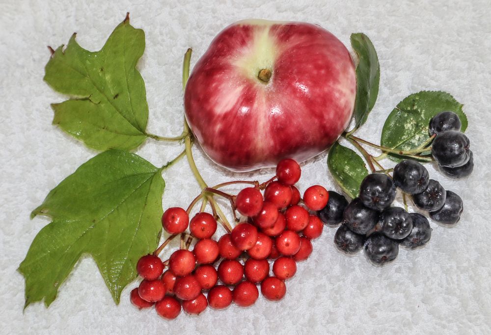 Photograph by Денис Геранькин