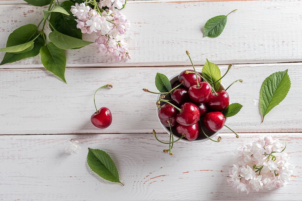 Фотография автора Наталья Филиппова