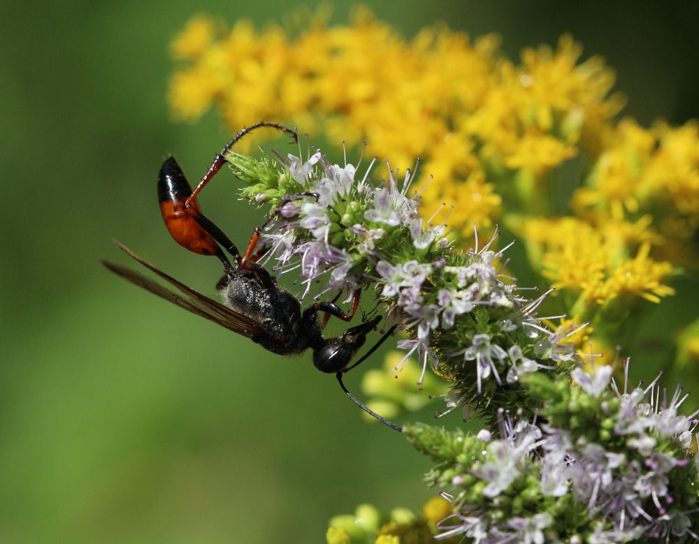 Photograph by Марина Горшкова