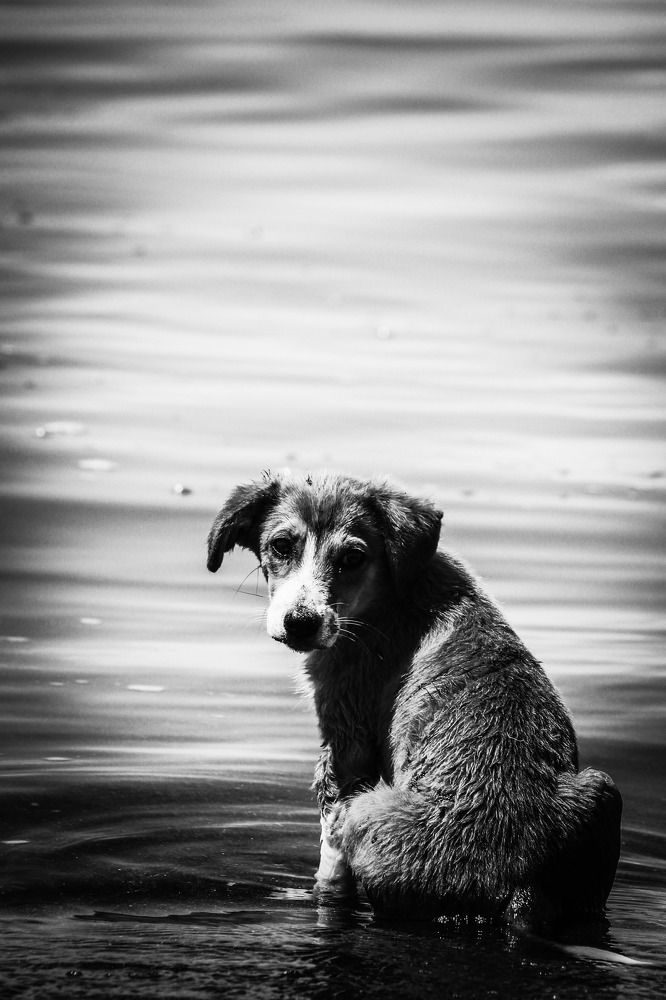 Photograph by Марина Горшкова