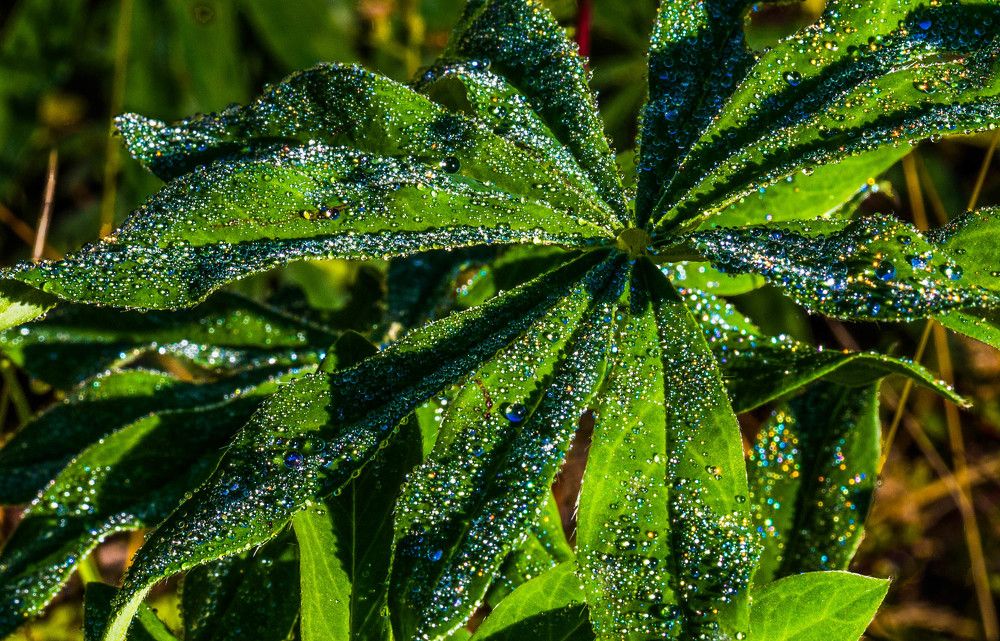 Photograph by Михаил Бояркин