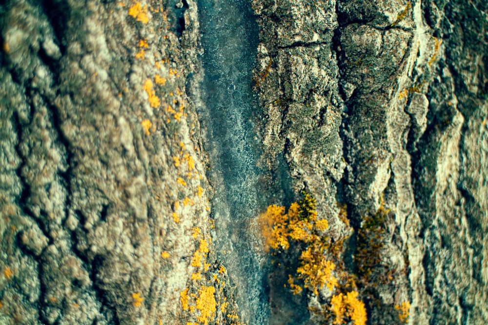 Photograph by Светлана Фокина