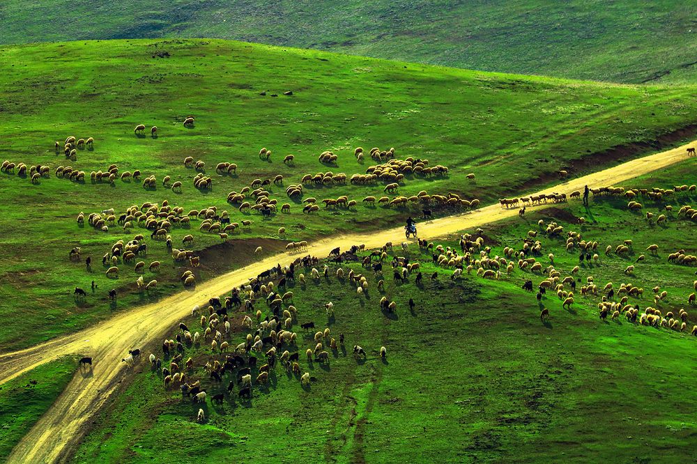 The story of rural life