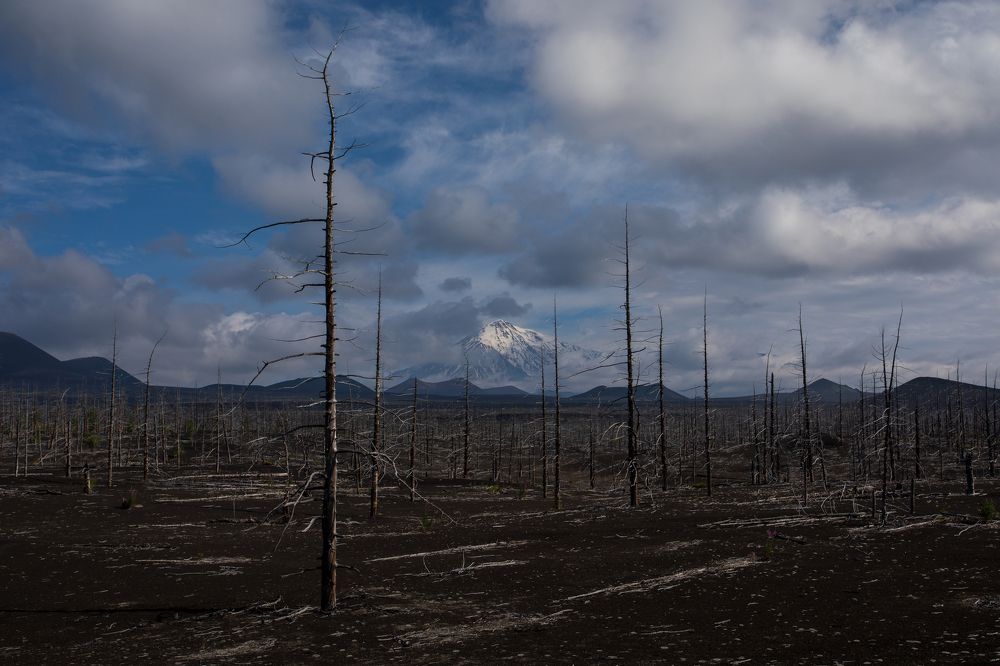 Гигант на горизонте