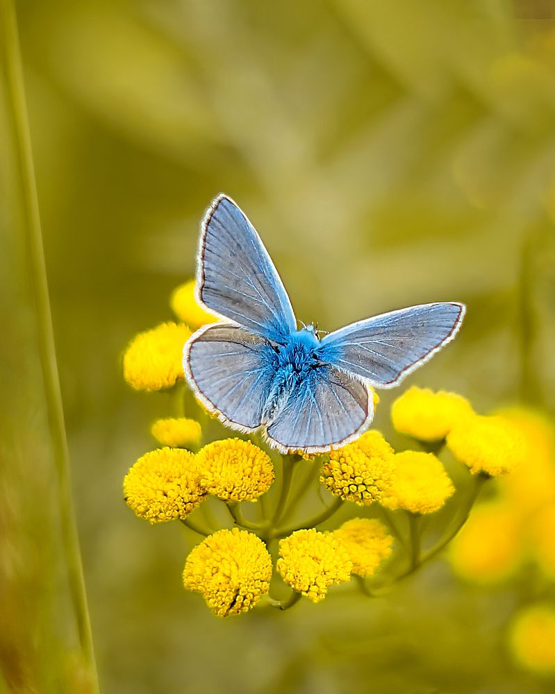 Photograph by Александр Соловьев
