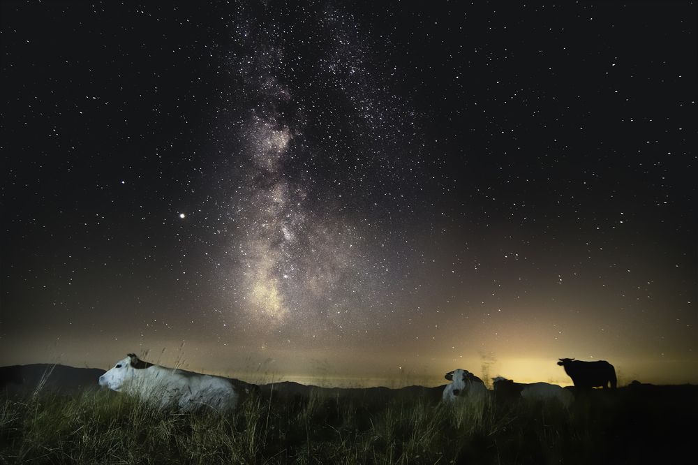 Photograph by Dino Sirica