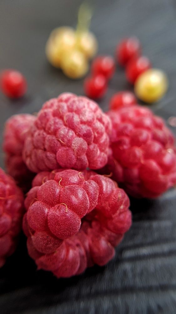 Photograph by Светлана Смирнова