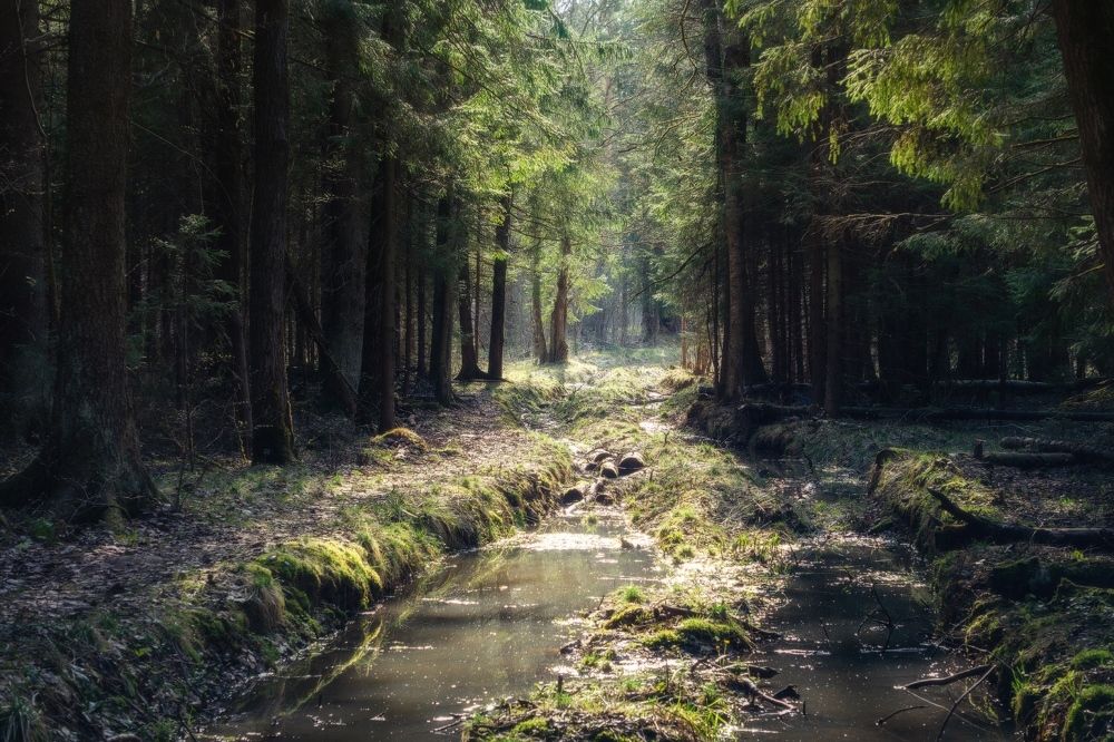 Photograph by Наталья Лабодина