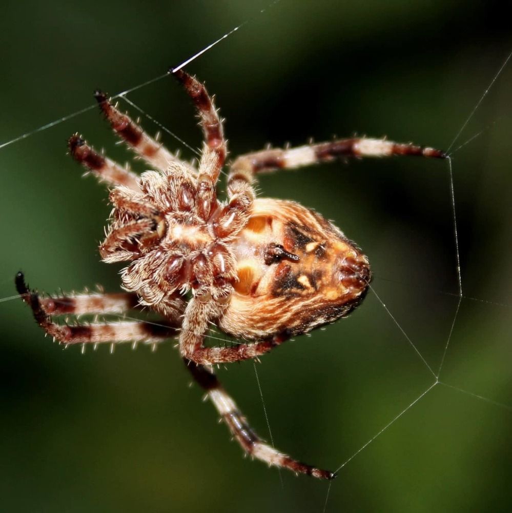 Фотография автора Татьяна Долгушева