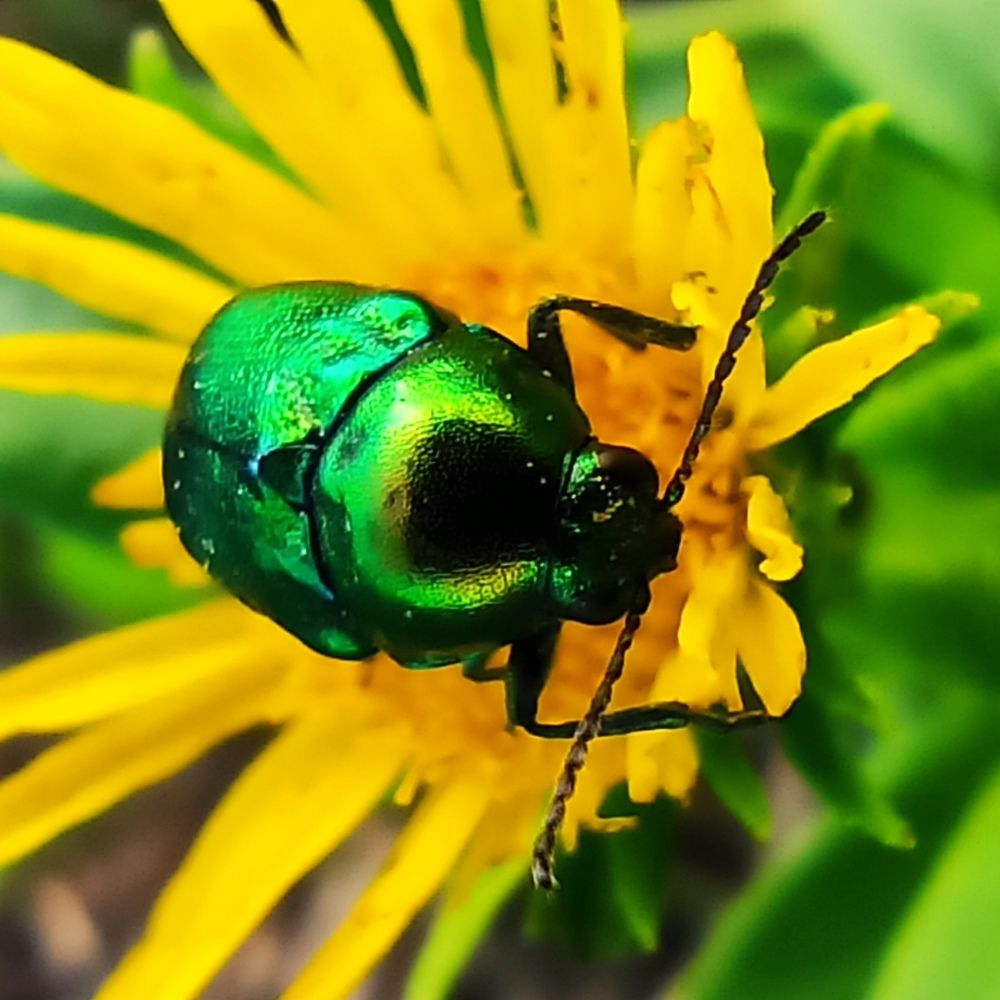 Фотография автора Татьяна Долгушева