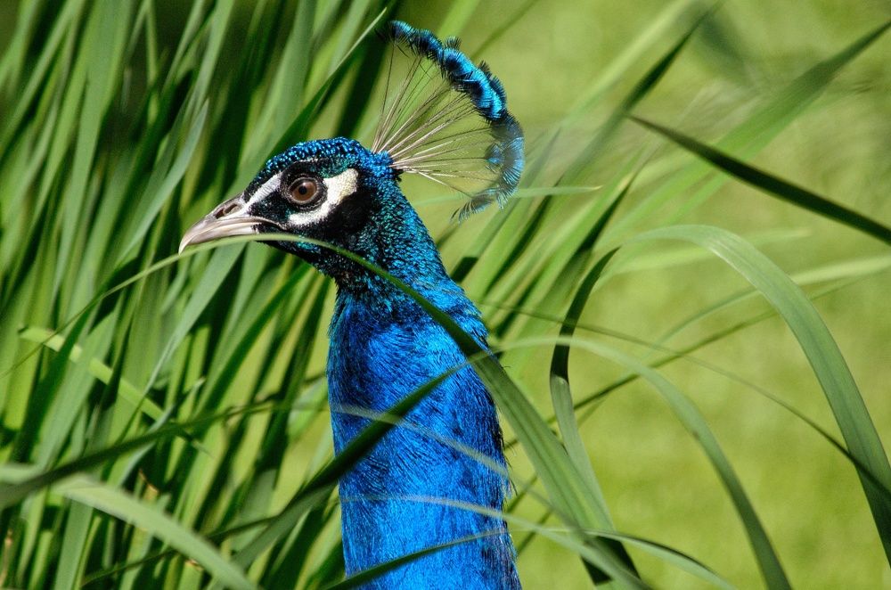 Photograph by Ирина Курицына