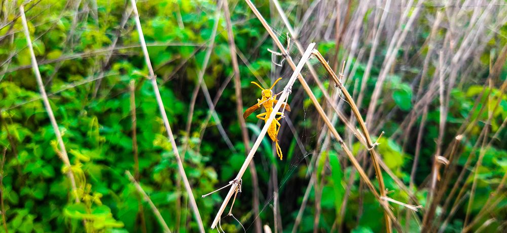 Фотография автора Nitish Kumar