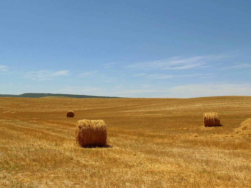 Photograph by Татьяна Стаскевич