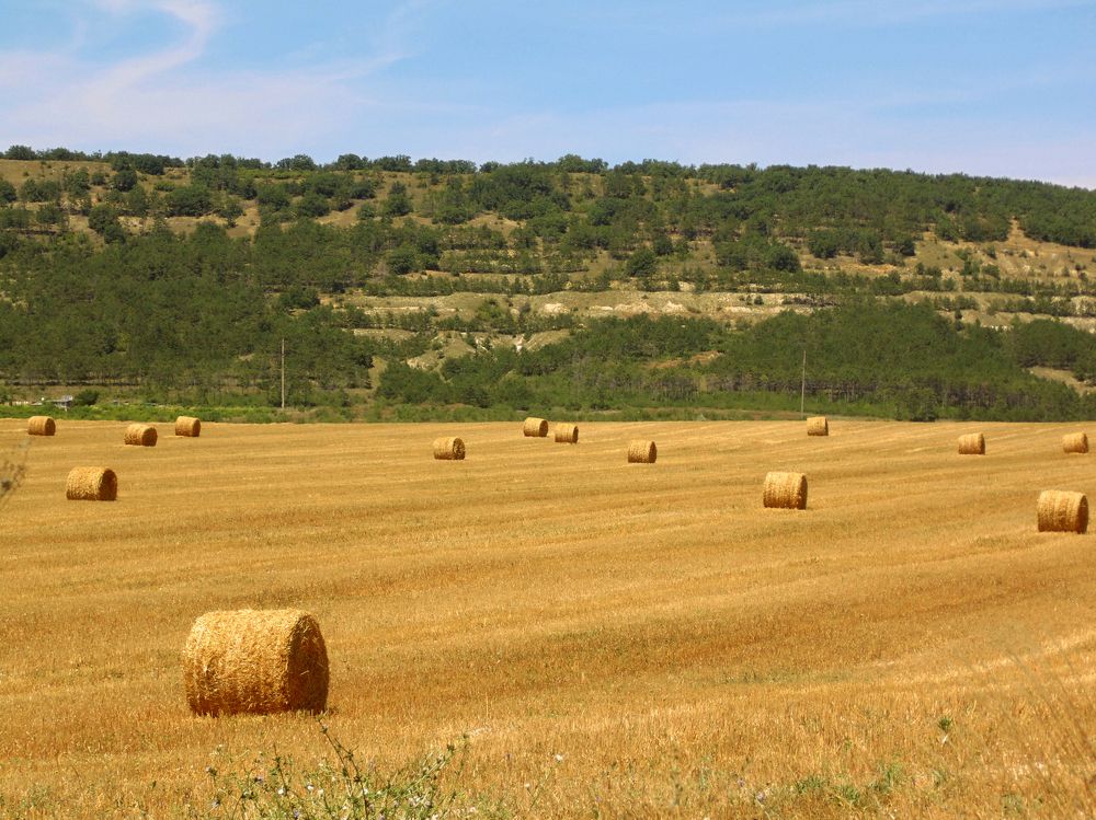 Photograph by Татьяна Стаскевич