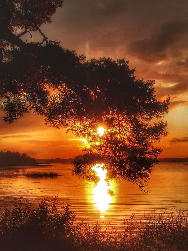 Photograph by Виктория Мамлеева