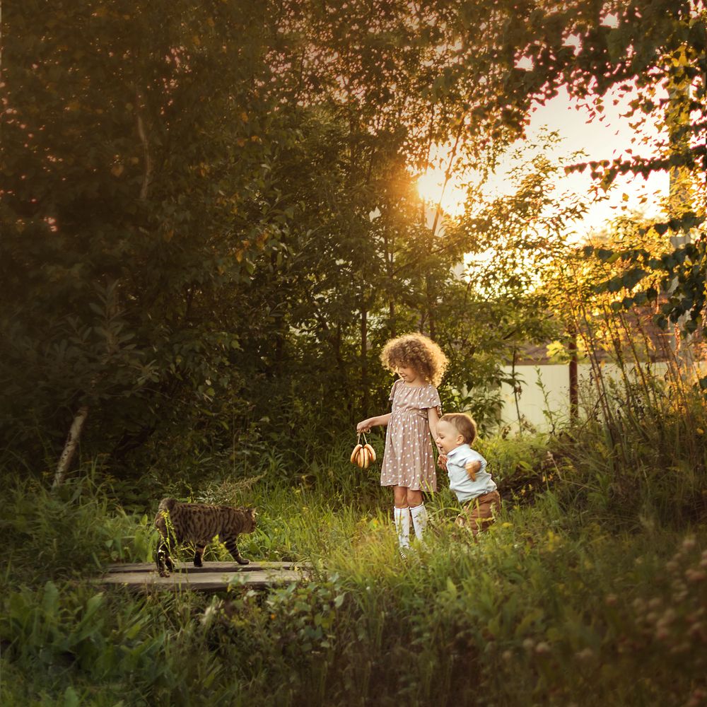 Photograph by Анна Конорова