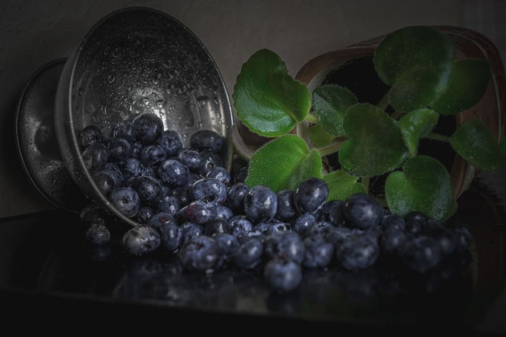 Photograph by Светлана Гонская