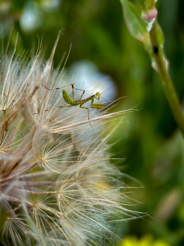 Photograph by Мария Чернецова