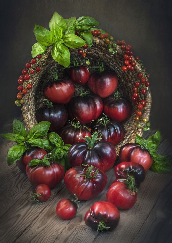 Photograph by Sonata Žemgulienė