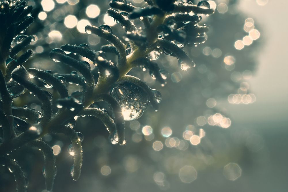 Фотография автора Марина Спильнык