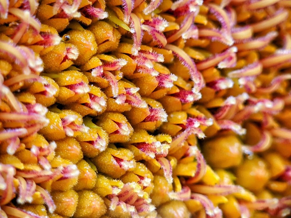 Photograph by Денис Пономарёв