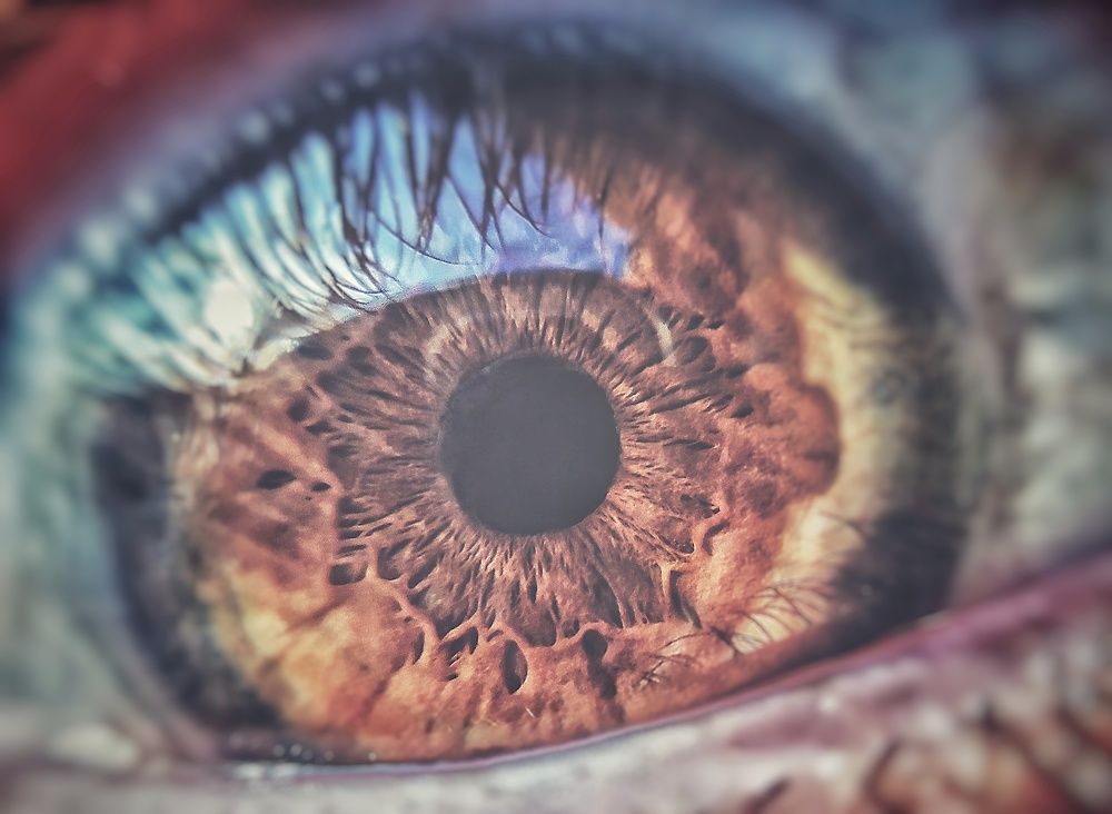 Photograph by Mohammad Rasheed