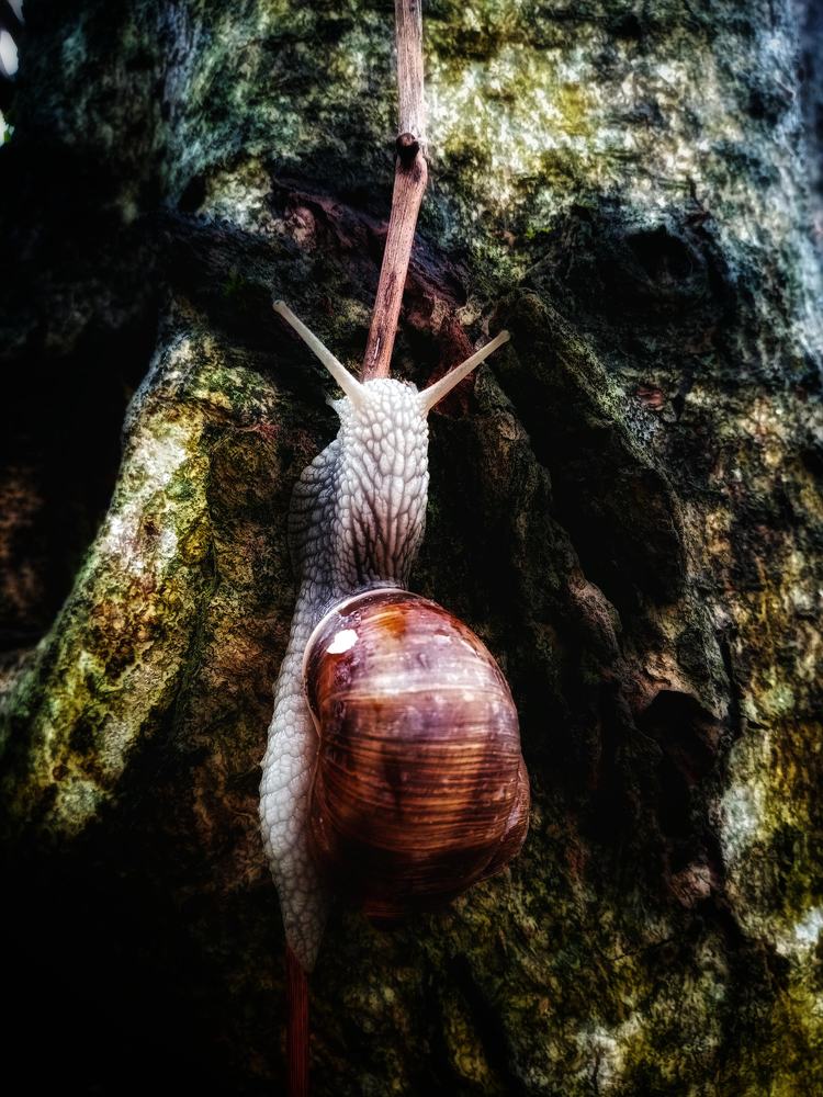 Photograph by Veronica Kravchonok