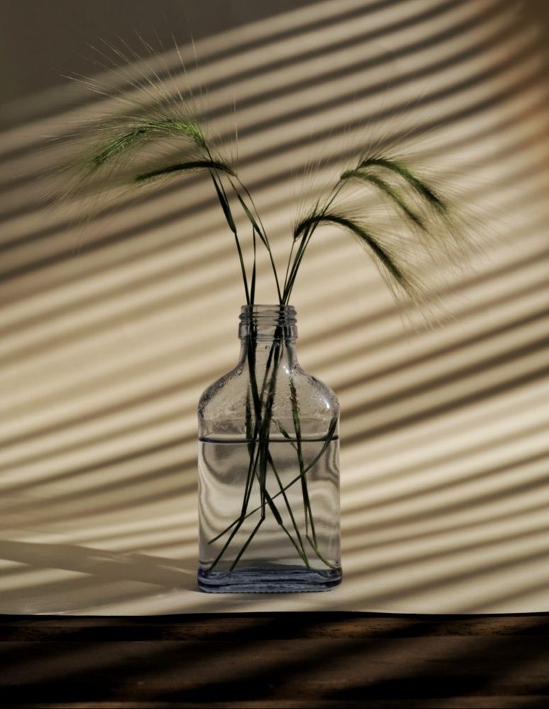 Photograph by Наталья Адалинская