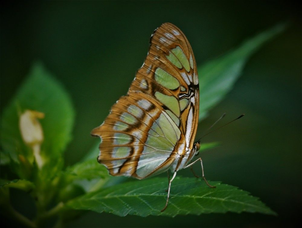 Photograph by Anja kroes