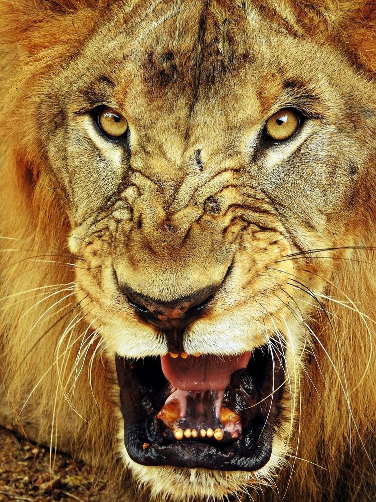 Photograph by Jay Sharan