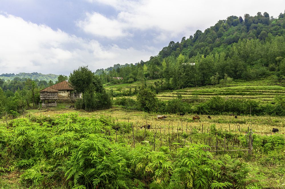 Фотография автора Majid Varasteh