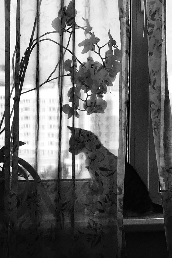 Фотография автора Гудкова Светлана