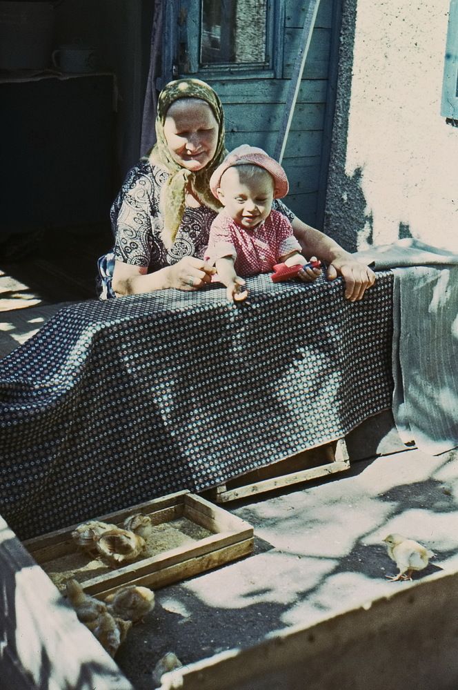 Цып, цып, цып...мои циплятки...!)