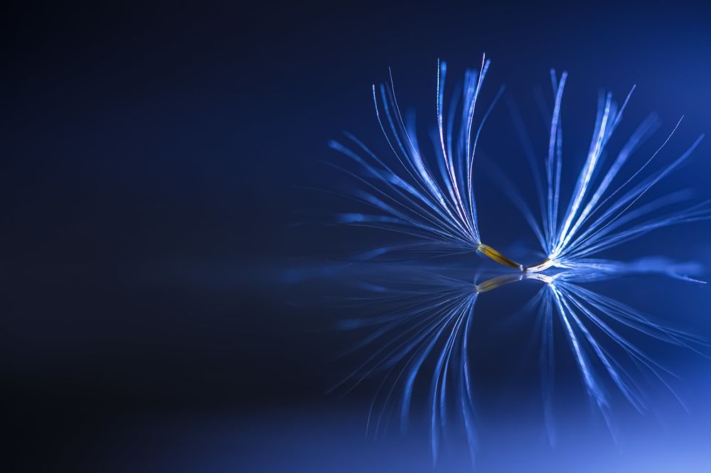 Photograph by Ольга Ильина