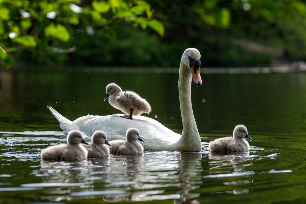 Photograph by Bartek Olszewski
