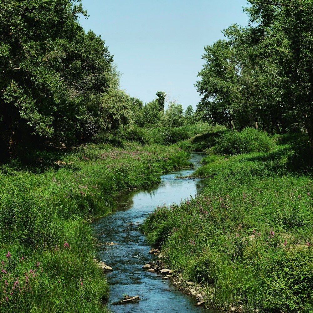 Photograph by Владислав Кулаков